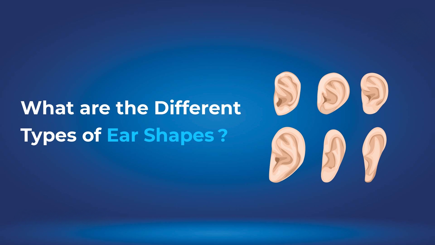 types of ear shapes