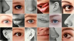 audicus-hearing-impaired-senses