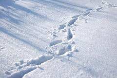 hearing-loss-Audicus