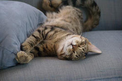 Hearing-loss-Audicus