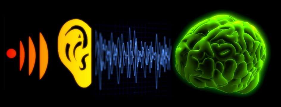 What's New in Hearing Loss Research?