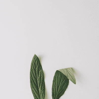 Is Spring the Ideal Season to Address Hearing Loss?