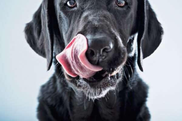 Funny and Cautionary Stories of Hearing Aid Mishaps