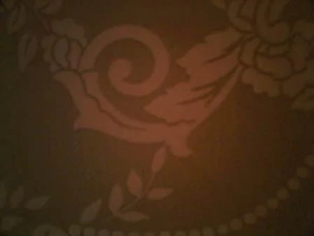 online-hearing-aids-audicus