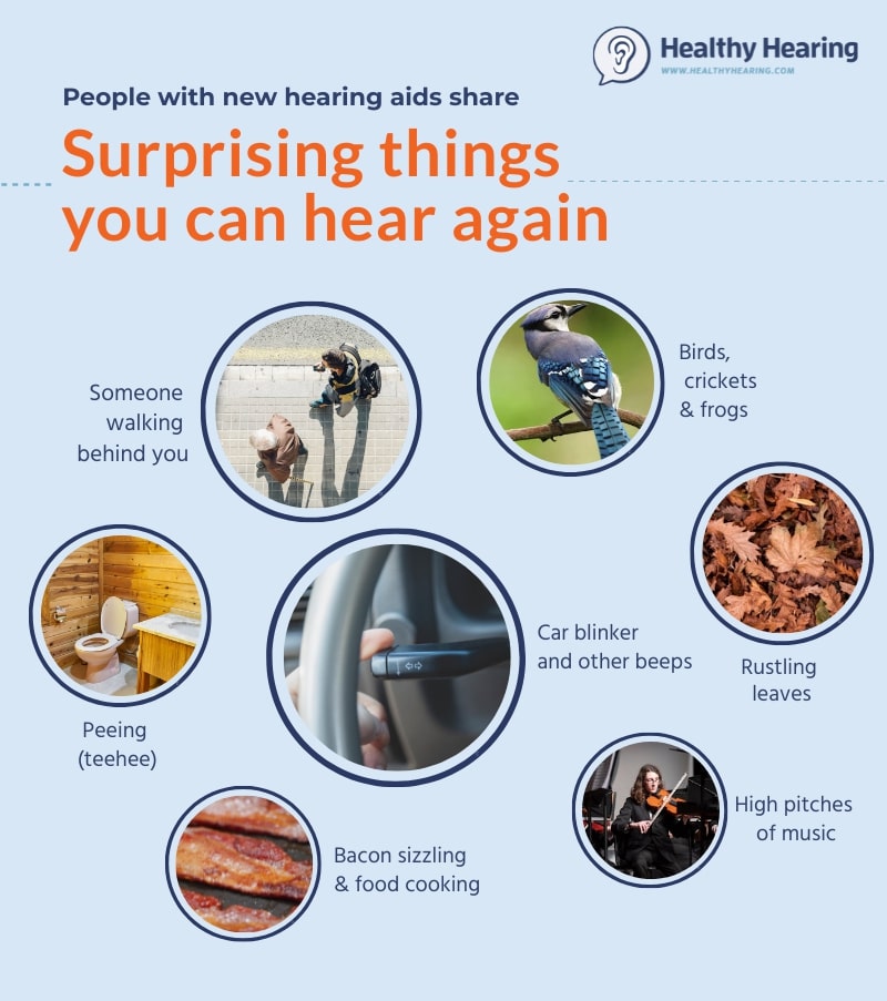 An infographic showing suprising sounds new hearing aid wearers are delighted to hear again.