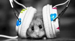 Mouse-Headphones-Audicus-sound-vaccine