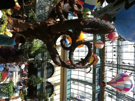 online-hearing-aids-audicus