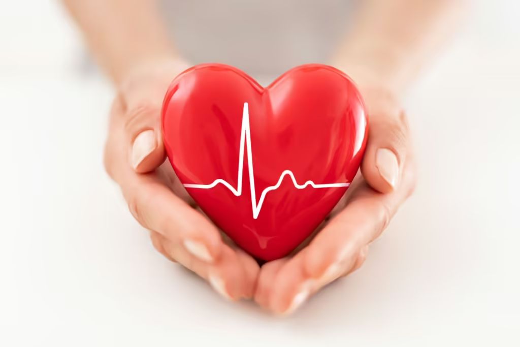 person holding a stylized heart in their hand; across the red heart is a heartbeat pattern in white