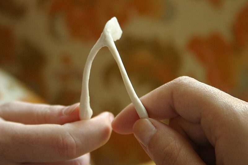 audicus-hearing-loss-wishbone