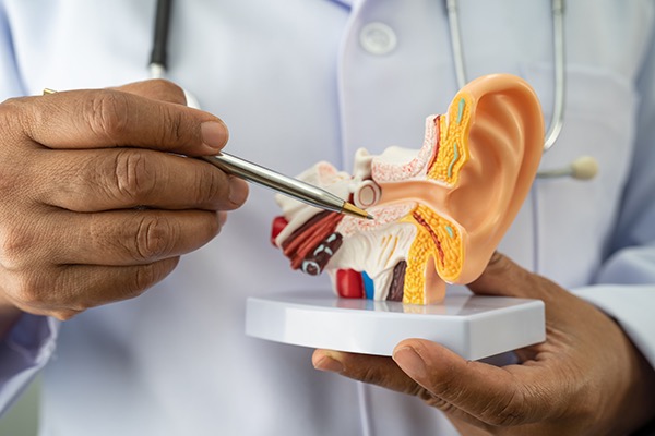 What Is Audiology?