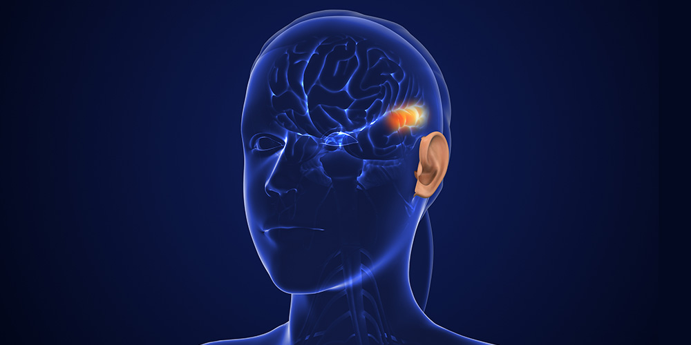 A Guide to Implantable Devices for Severe Hearing Loss